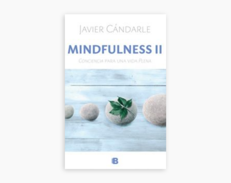 Mindfulness II. Conciencia para una vida Plena